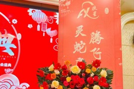湖北扶星2025年蛇年春節(jié)聯(lián)歡晚會